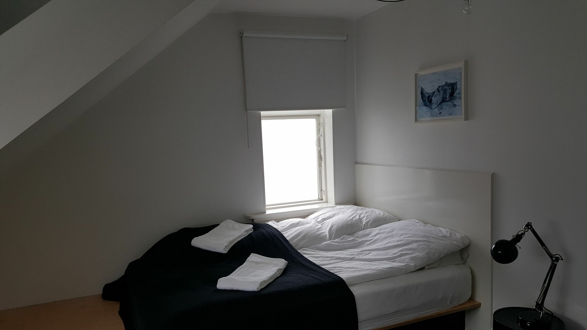 Luna Apartments - Laugavegur 37 Reykjavík Eksteriør bilde